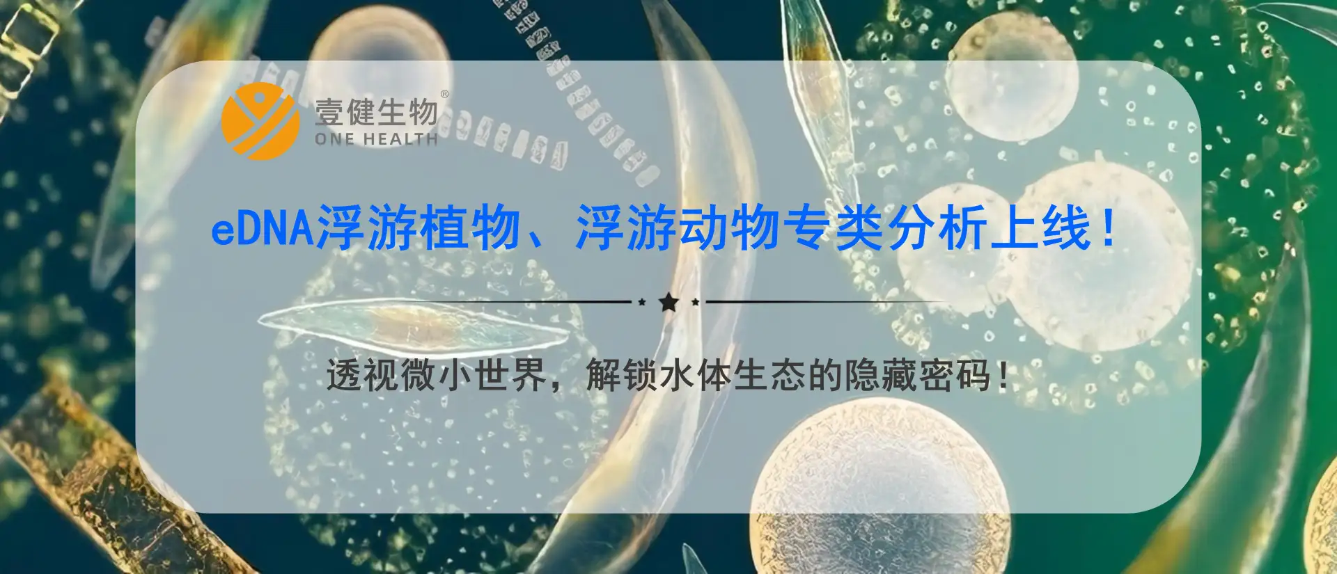 eDNA 浮游植物、浮游动物专类分析上线!